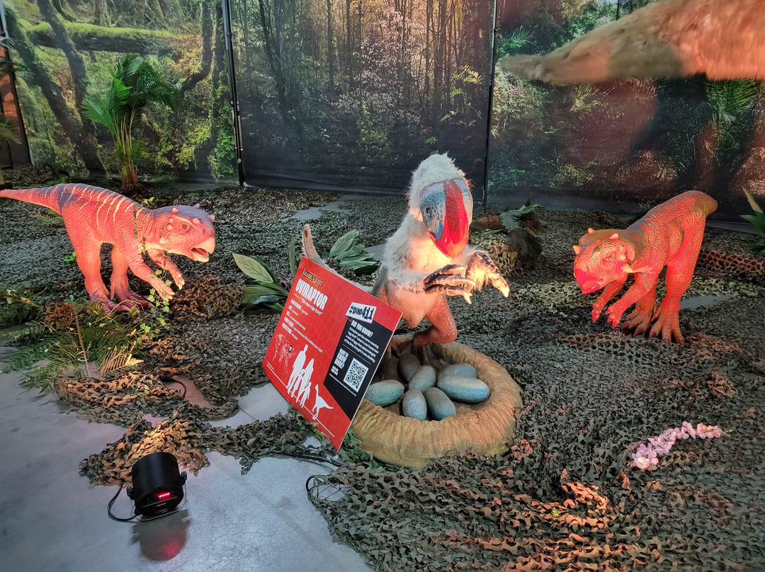 Jurassic Quest-Conroe必去景点