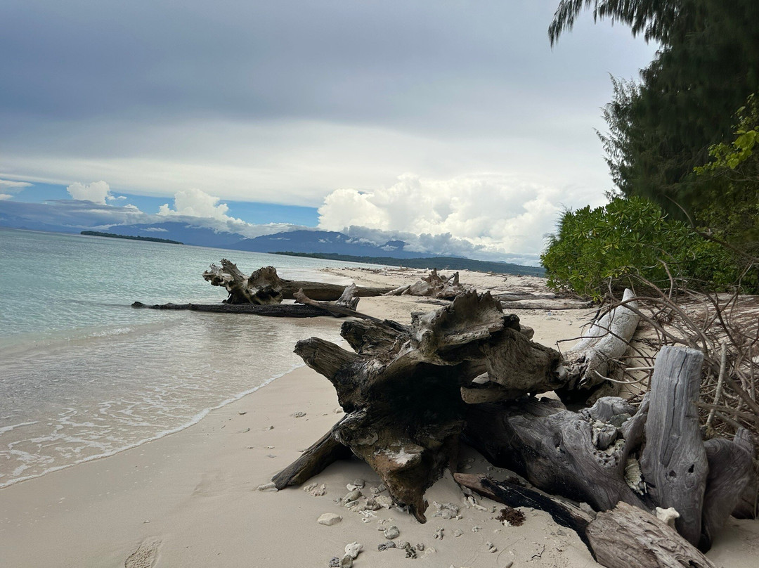 Ora Sunrise View主图