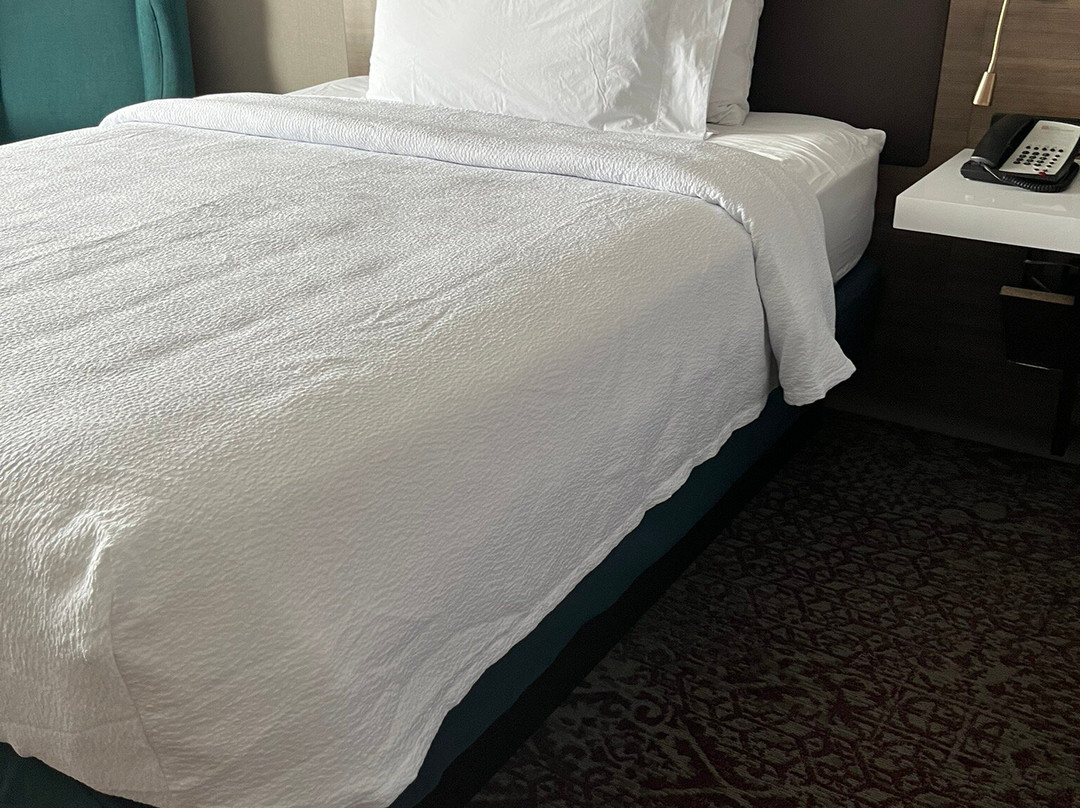 绍姆堡希尔顿花园酒店主图