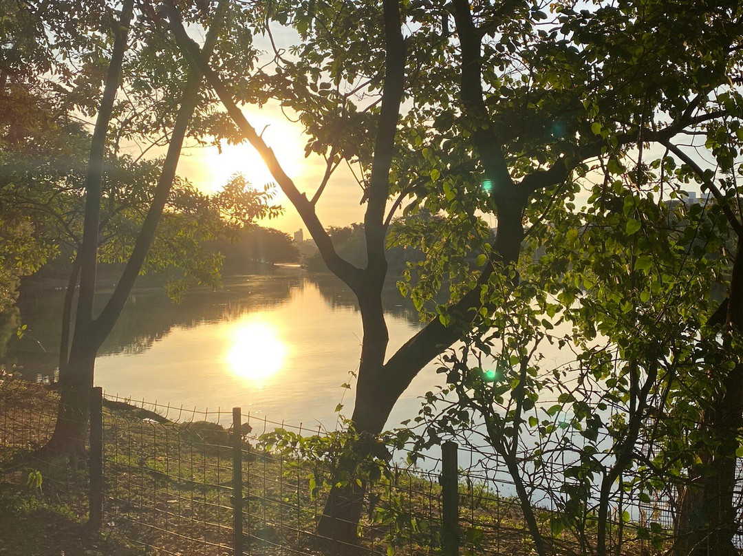 Parque da Represa Municipal-普雷图河畔圣若泽必去景点