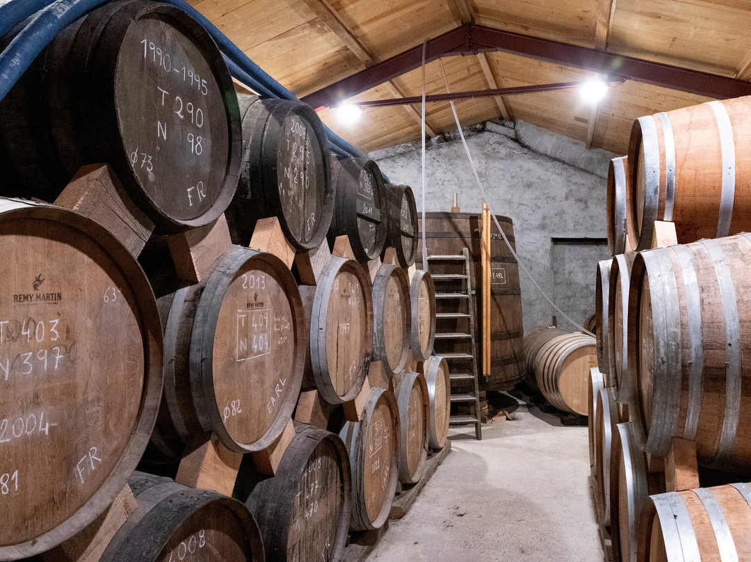 Domaine des Claires景点图片