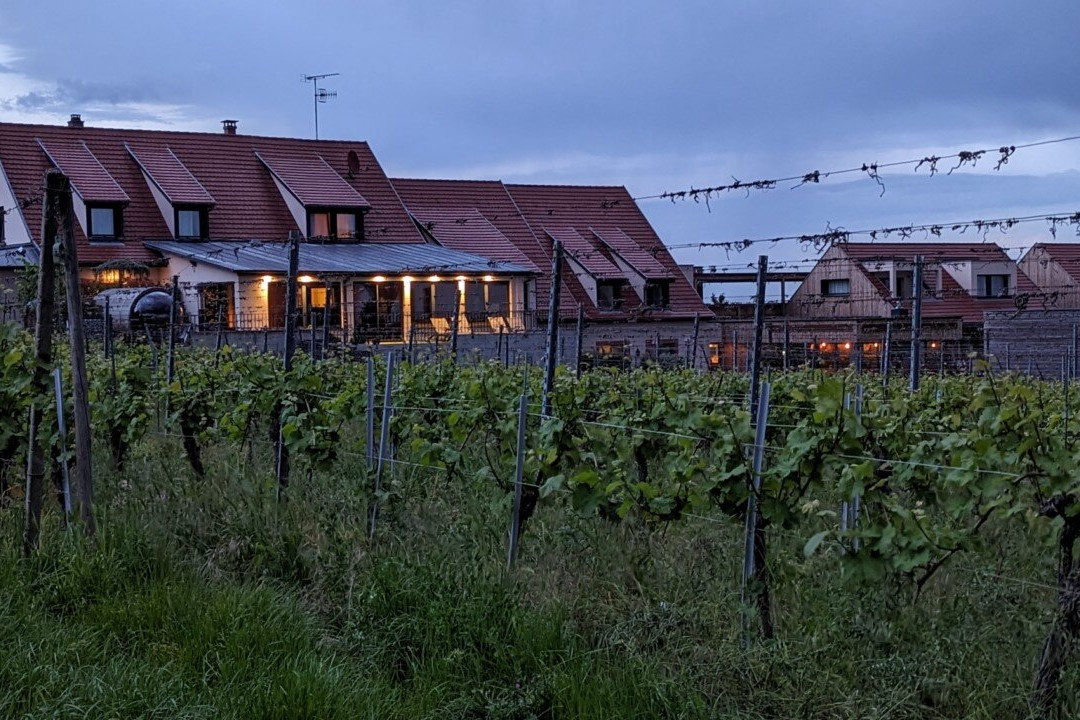 James Vignoble Hôtel主图