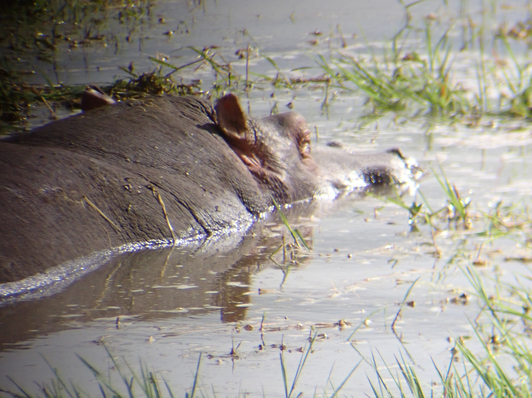 Maasai Legend Safaris-阿鲁沙必去景点