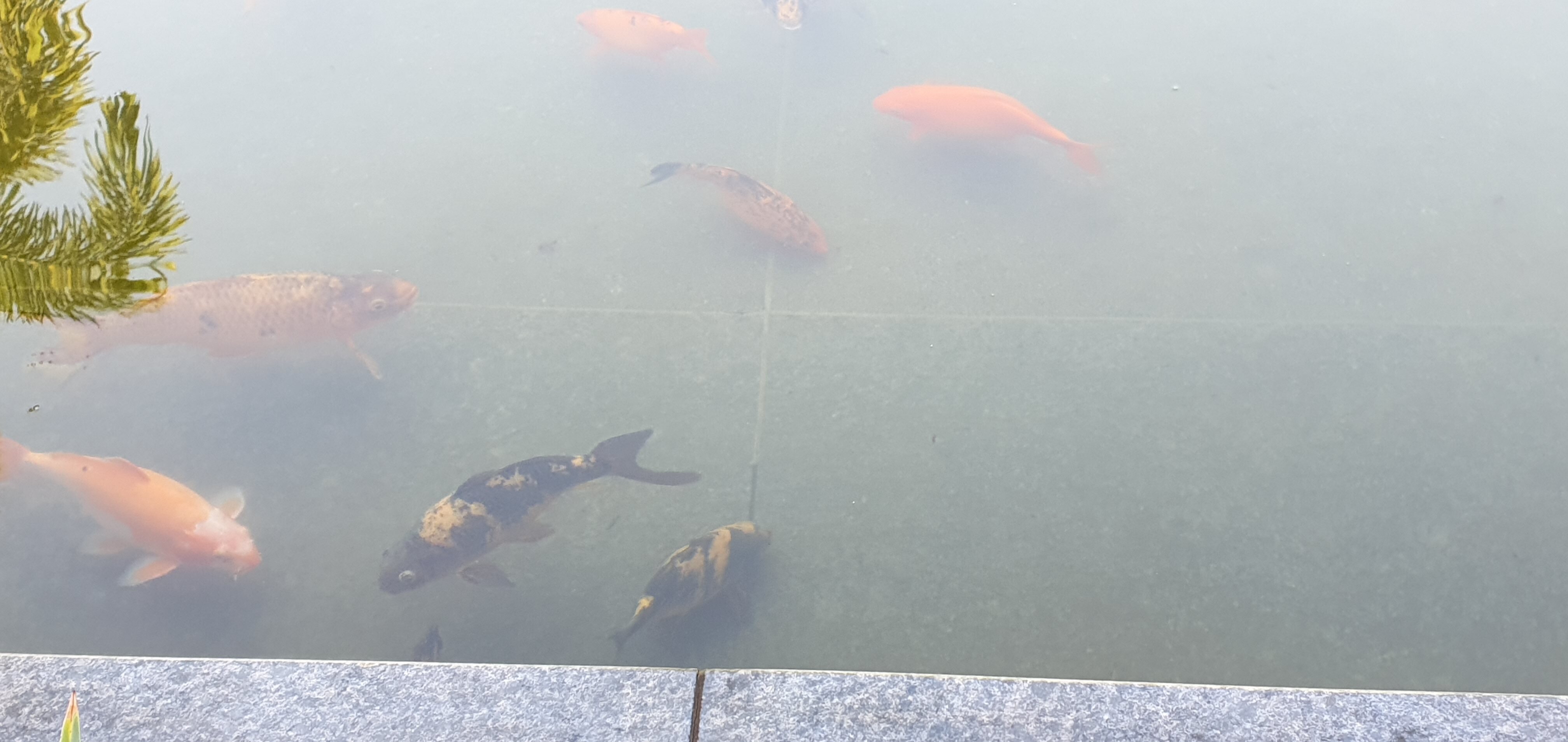 Madhubhan Resort & Spa-浴室