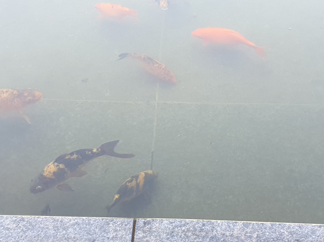 Madhubhan Resort & Spa主图