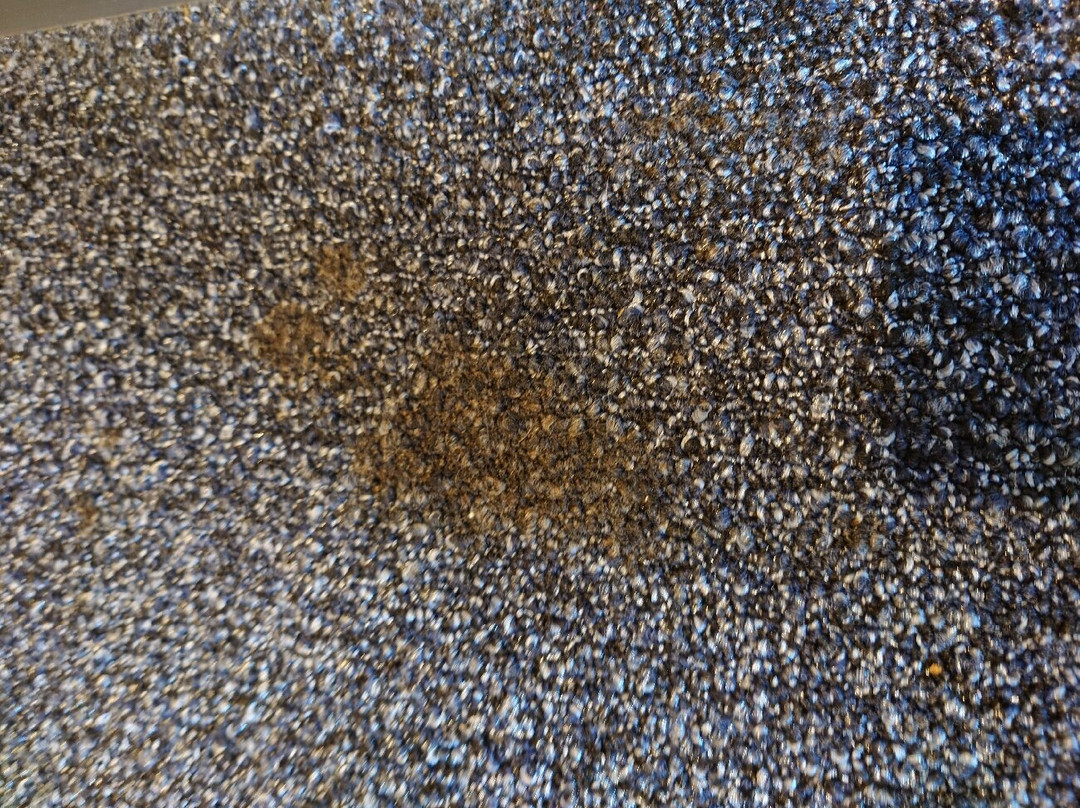 Sotetsu Fresa Inn Daimon Ekimae主图