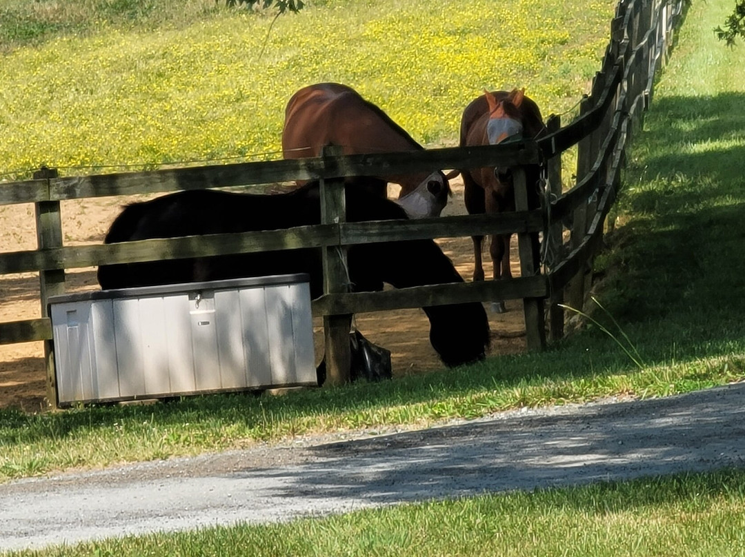 Keep Stables LLC at Chapel View Farm景点图片