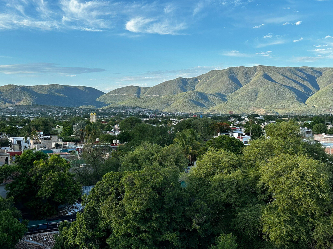 Hotel Real 1900主图