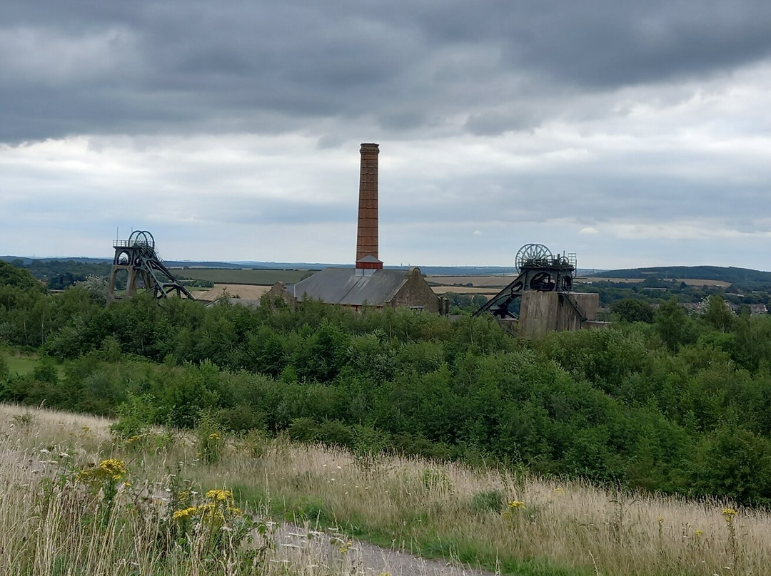 Pleasley Pit Country Park and Local Nature Reserve-Pleasley必去景点