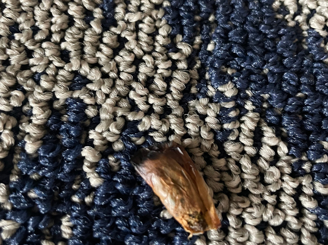 尚佩恩乌班纳大学区烛木套房酒店主图