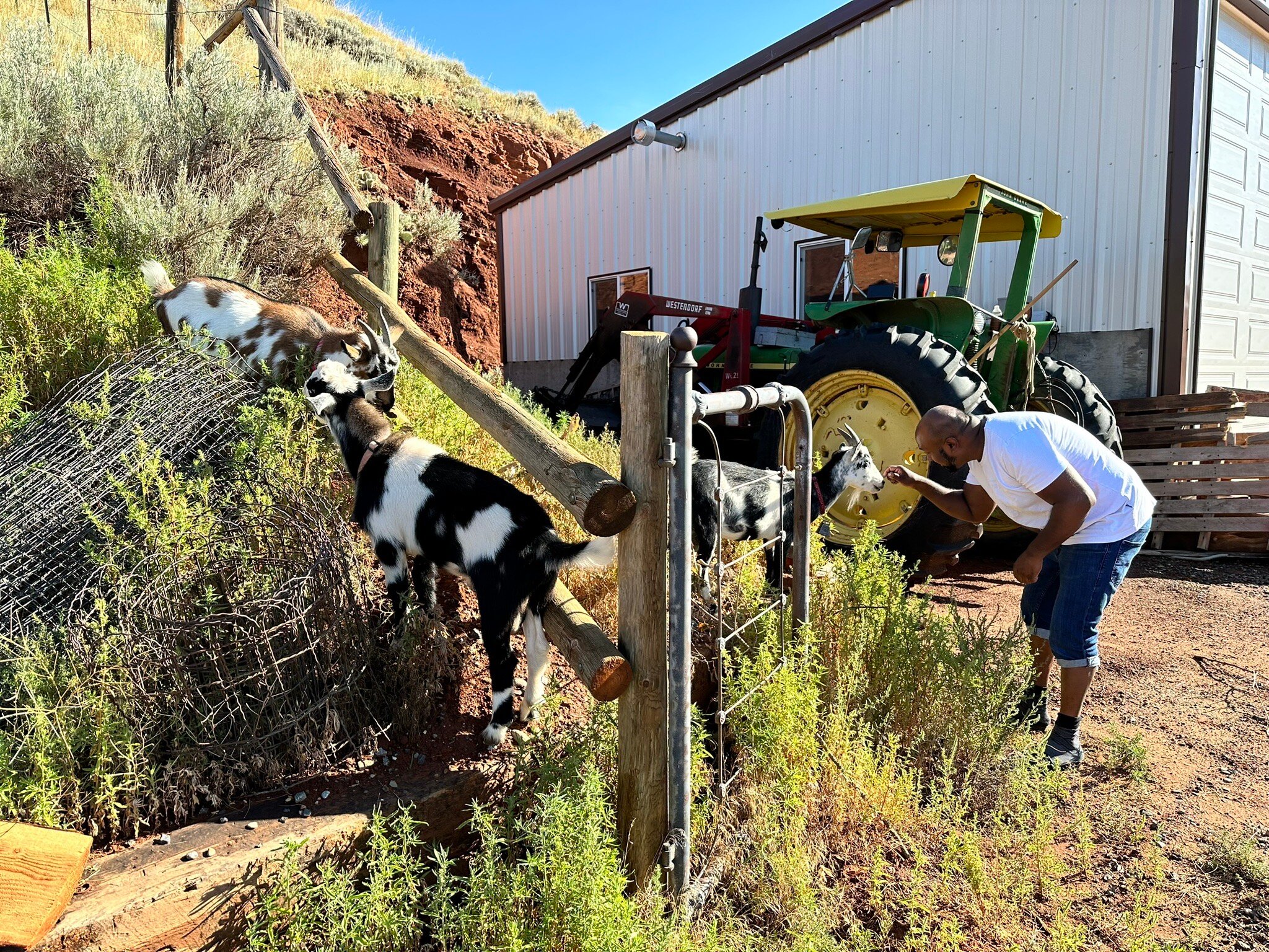 K3 Guest Ranch Bed & Breakfast-官方