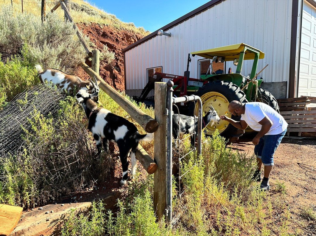 K3 Guest Ranch Bed & Breakfast主图