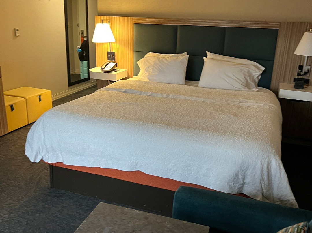 坦帕韦斯利礼拜堂希尔顿恒庭旅馆&套房酒店主图