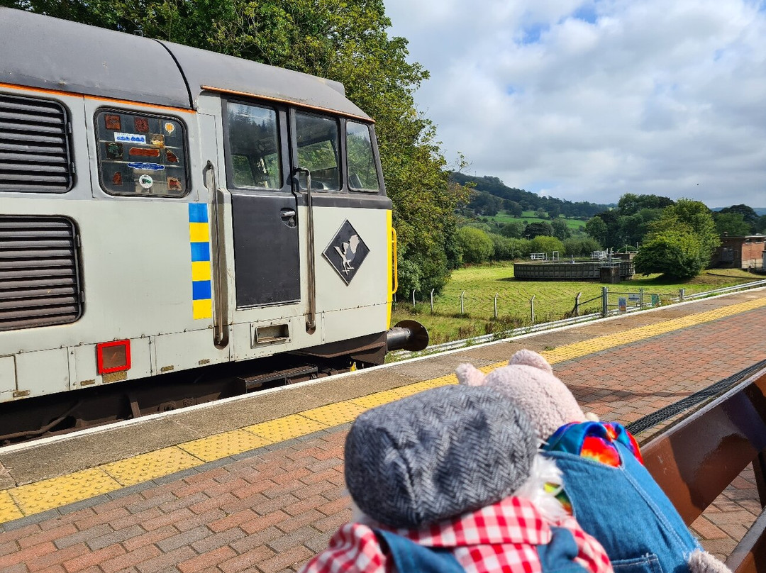 Llangollen Railway景点图片