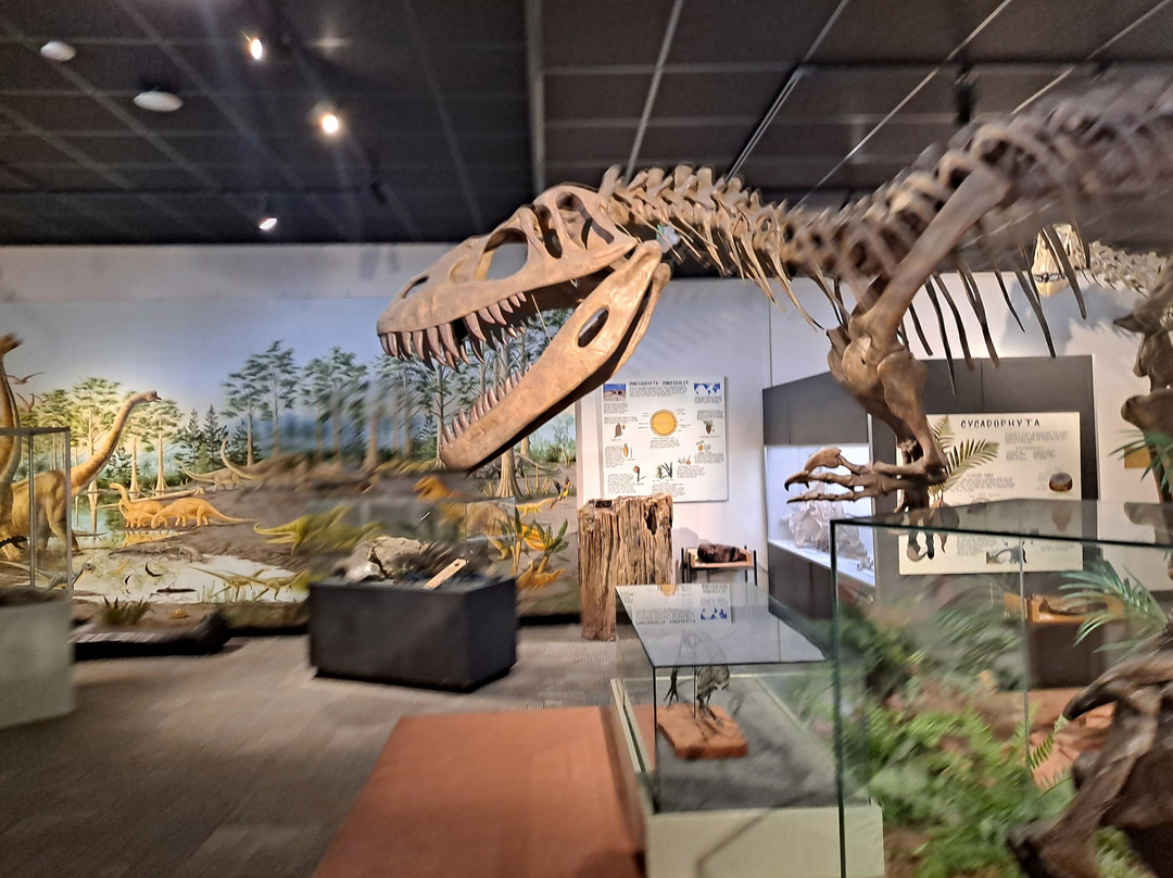 BYU Museum of Paleontology-普若佛必去景点