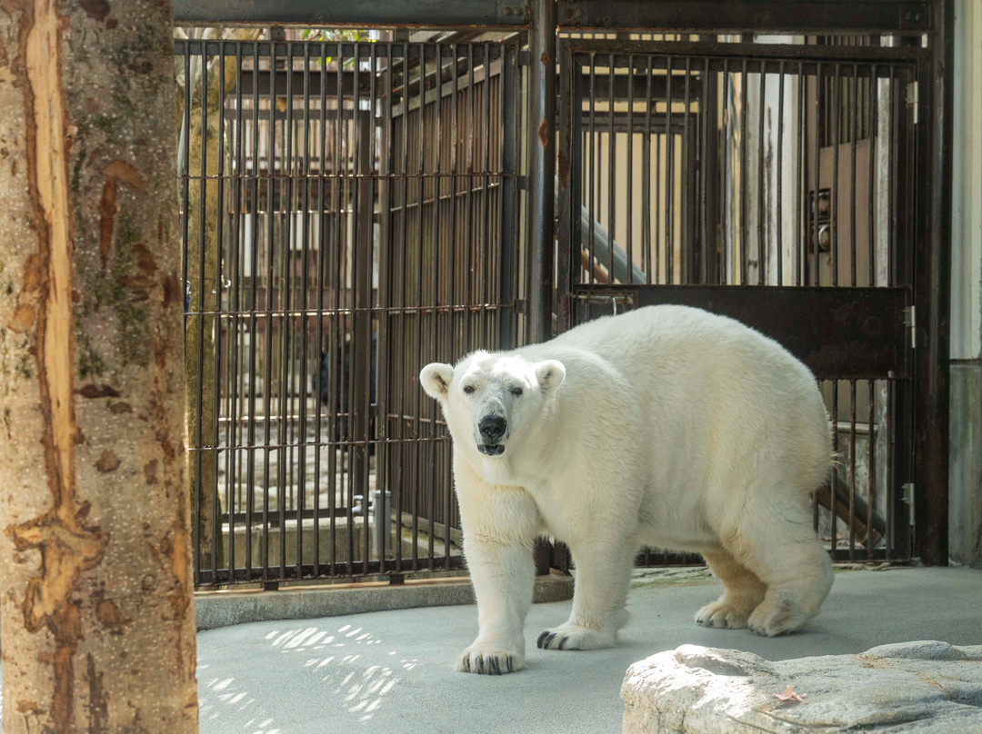 Tobe Zoological Park of Ehime Prefecture