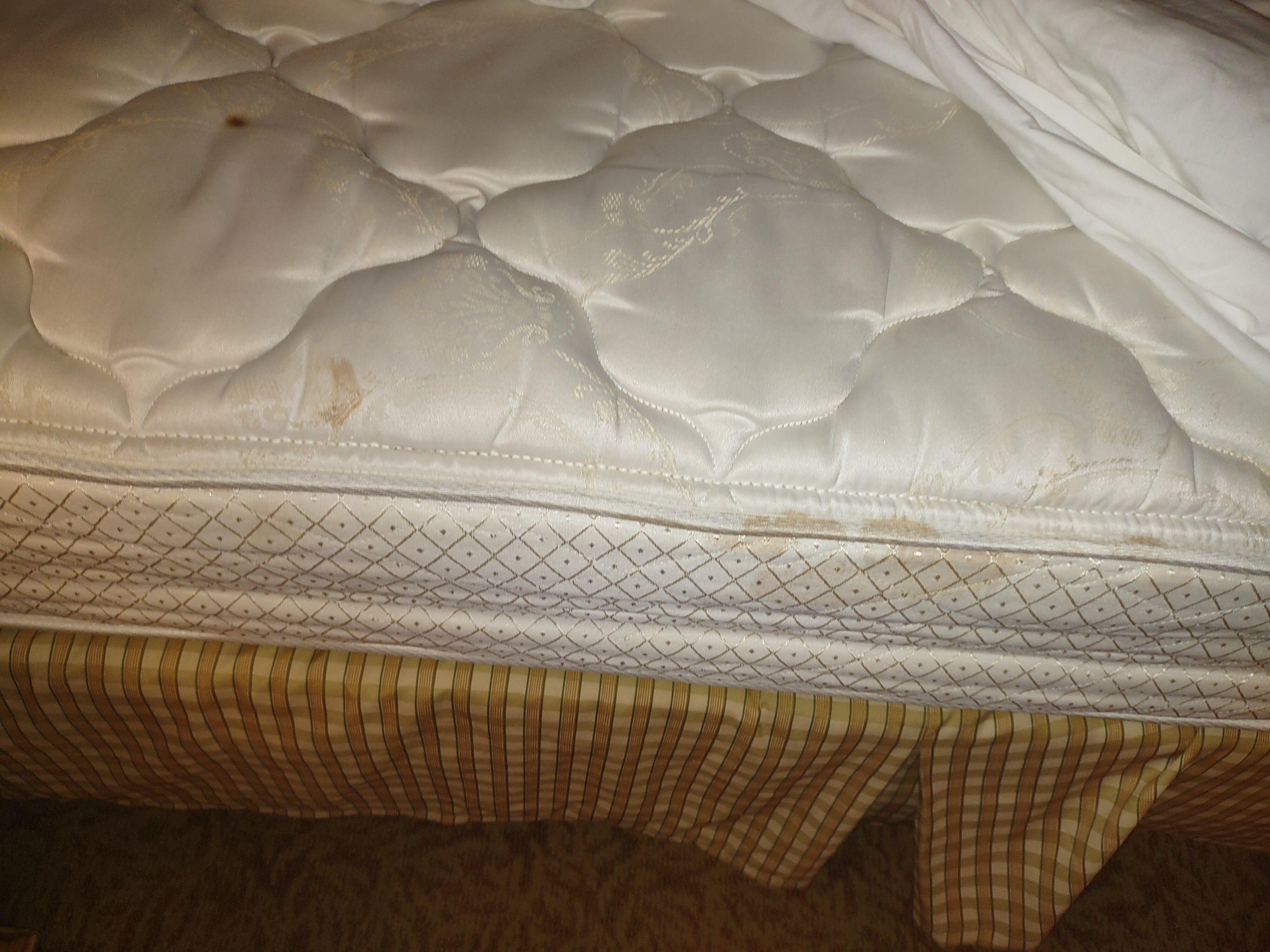 Country Inn & Suites by Radisson, Rochester South, MN-客卧