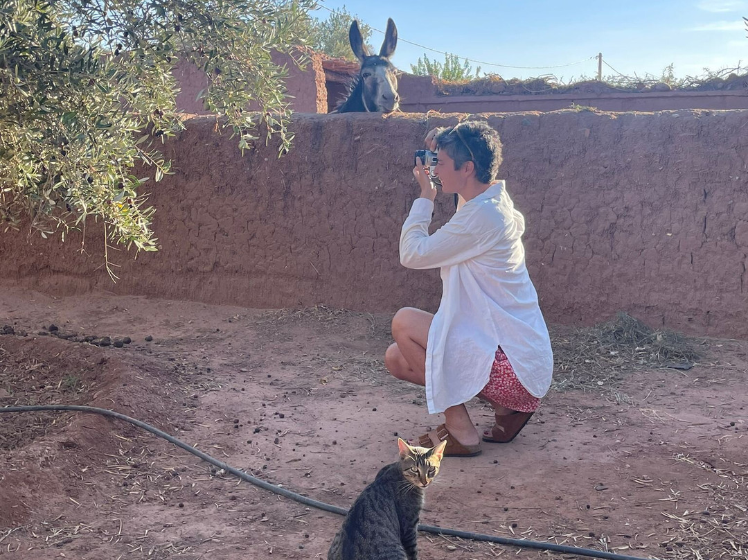 Maidan El Arsa主图