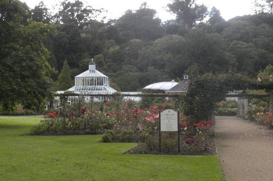 Arthur's Tours-但尼丁必去景点