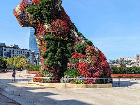 Basque Guides-圣塞瓦斯蒂安必去景点