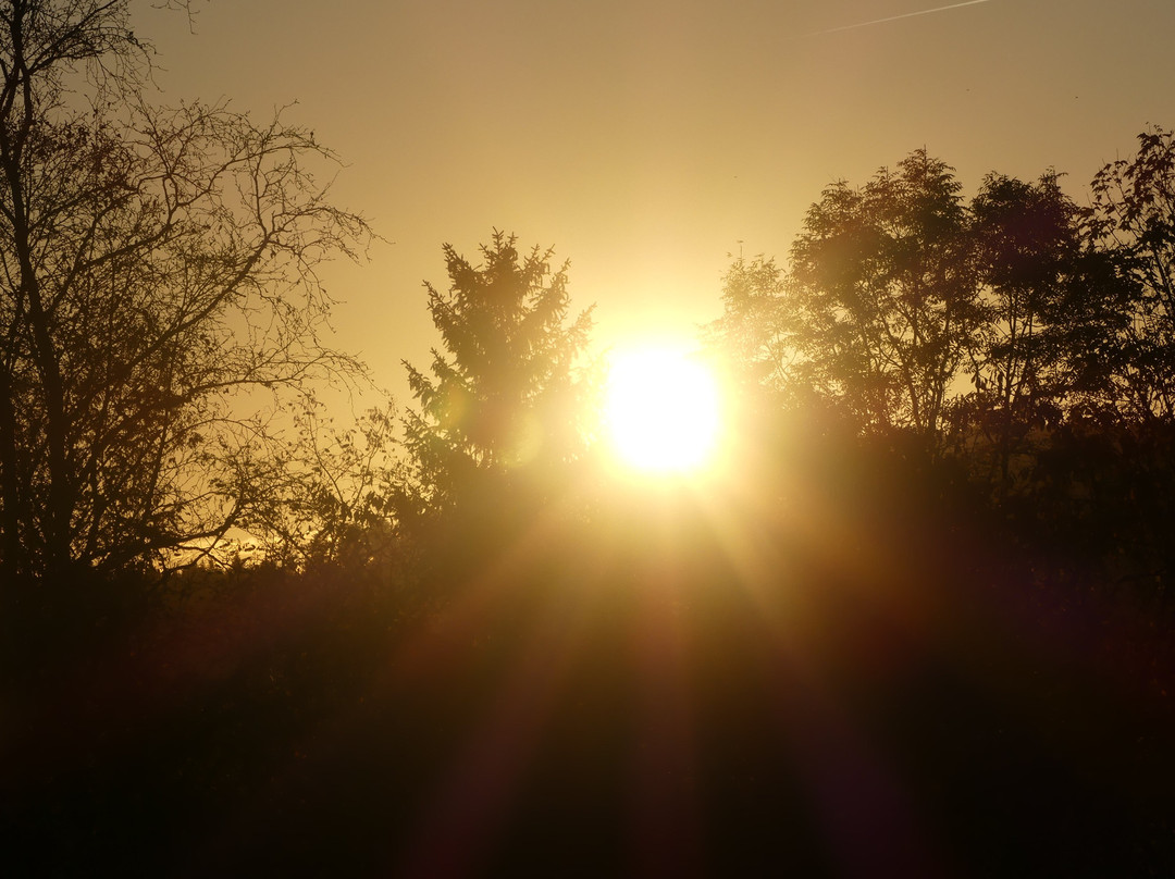 Breitenbach餐馆和美食-Auberge du Obersolberg
