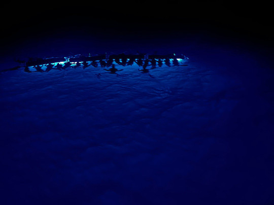 Hang Loose Boat Tours-凯鲁瓦-柯纳必去景点