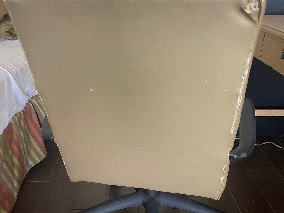 温特黑文罗伊湖海滩酒店主图