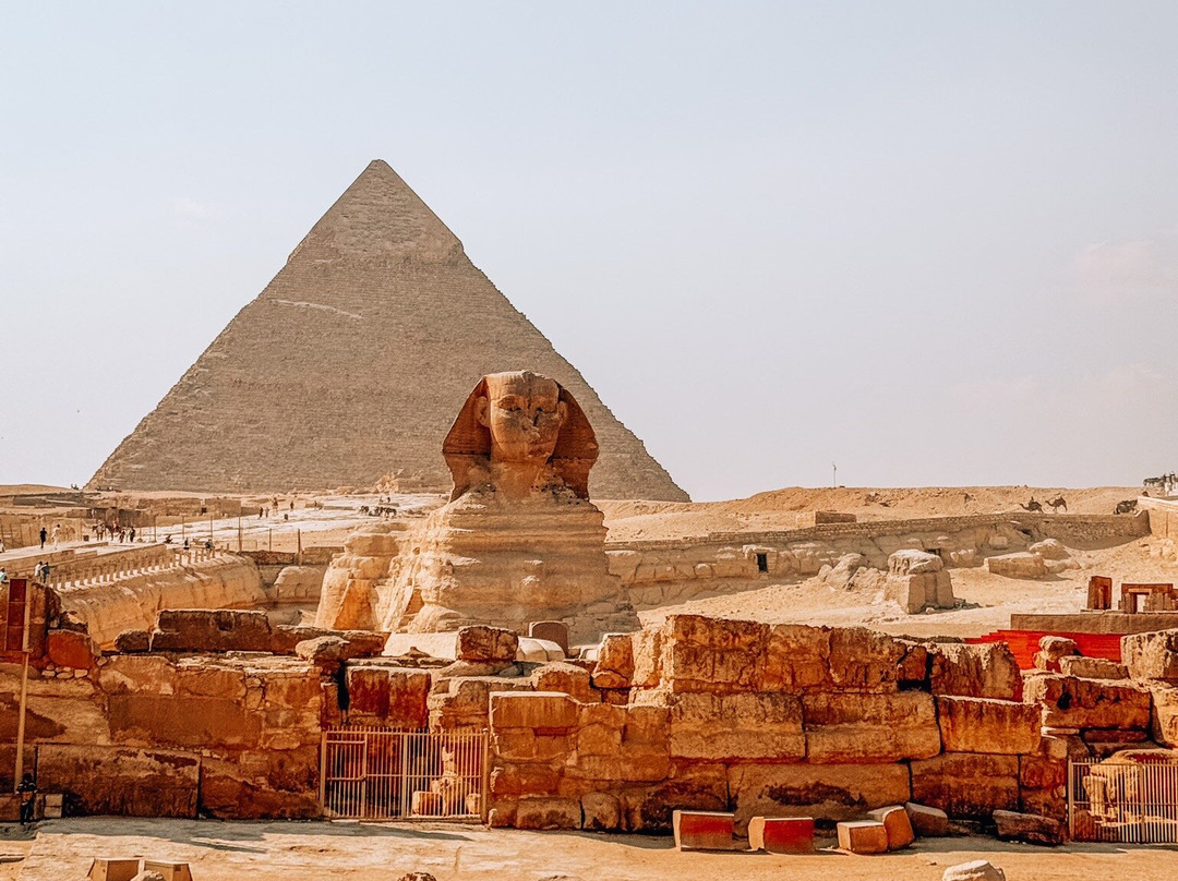 Desert Treasures Tours - Day Tours景点图片