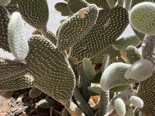 Nordic Travel-萨尔塔必去景点