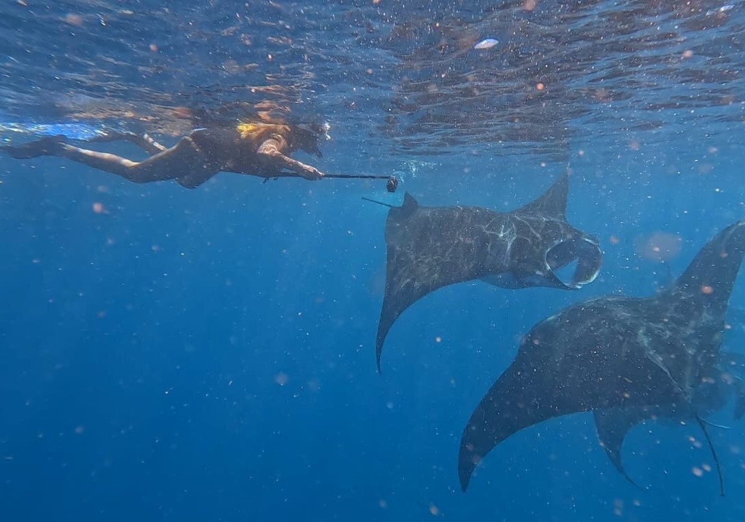 Barukoli sport fishing and excursions景点图片