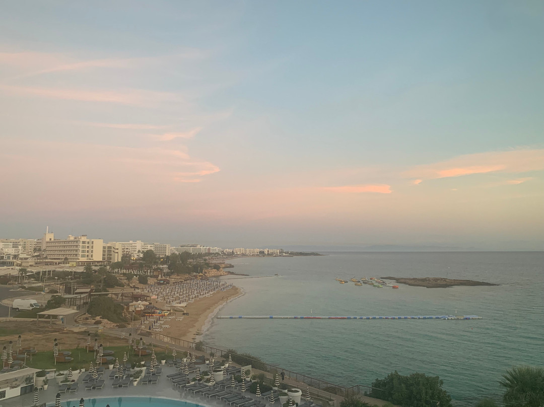 King Jason Protaras主图