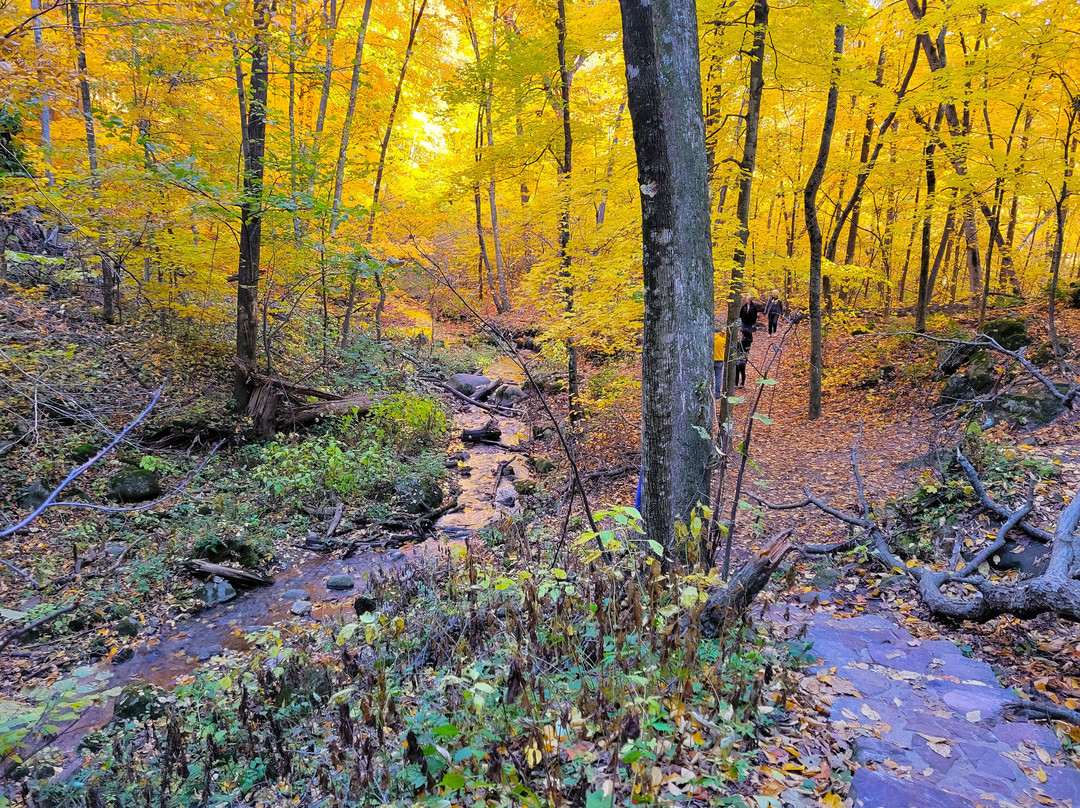 Parfrey's Glen-巴拉布必去景点