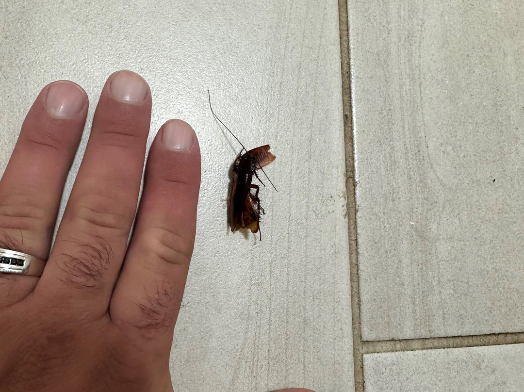 Holiday Inn Express & Suites Moody - Leeds By IHG主图