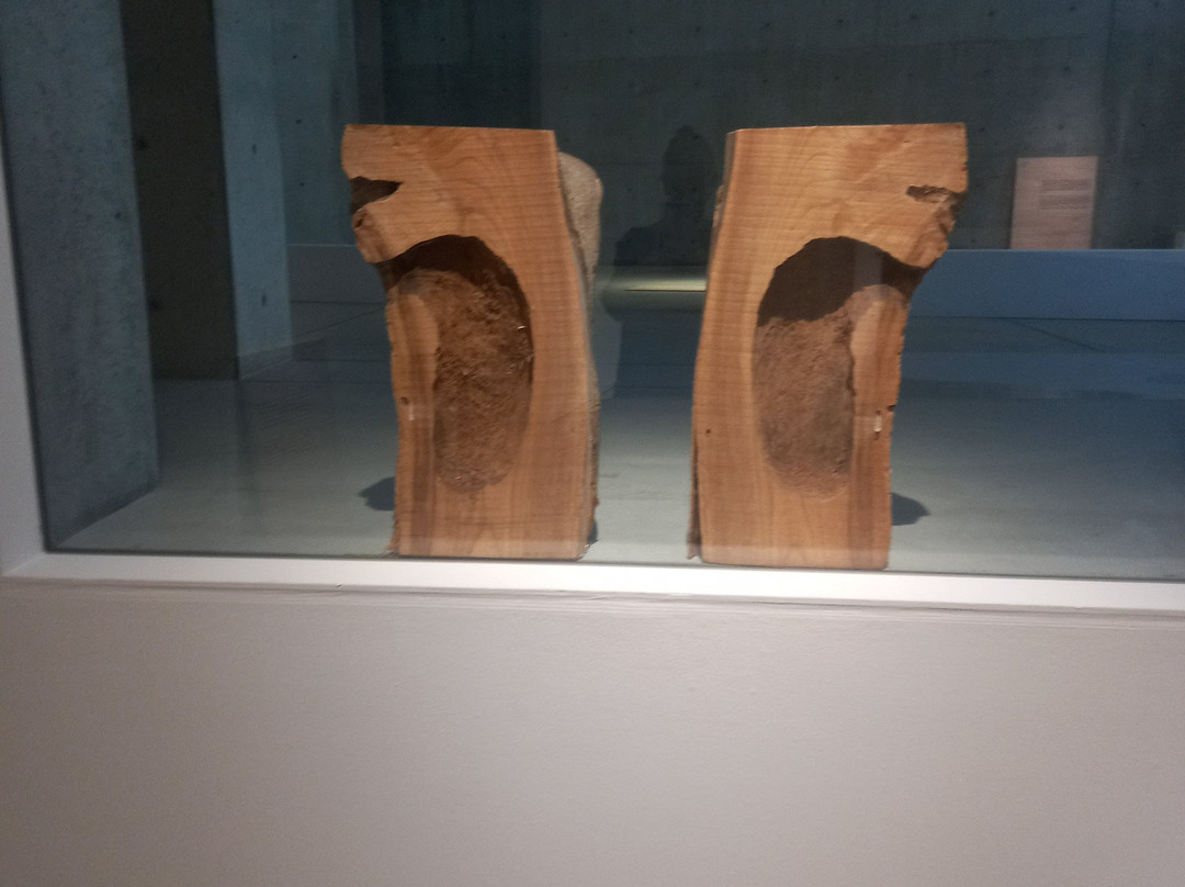 21_21 Design Sight 美术馆-Akasaka必去景点