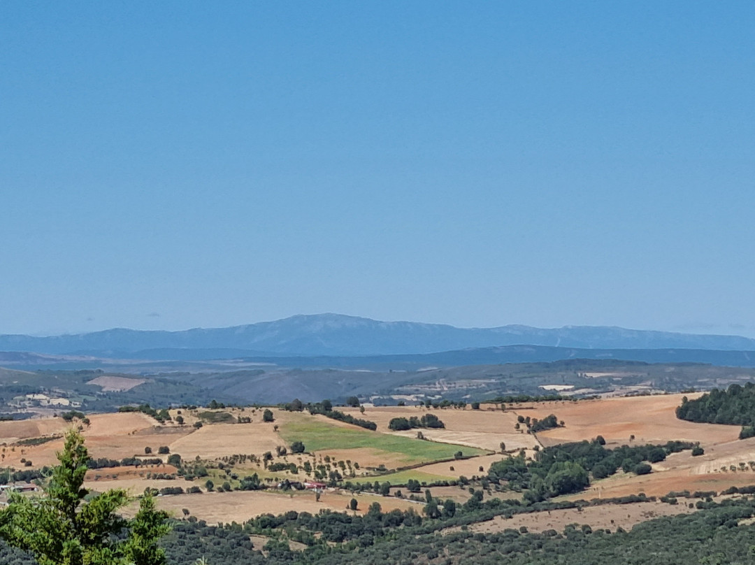 Castelo de Bragança景点图片