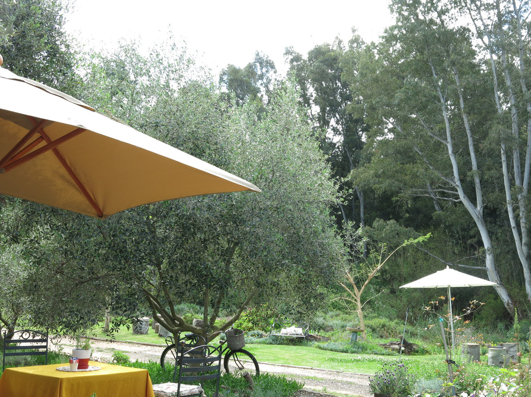 Owl's Rest Olive and Lavender Farm-Robertson必去景点