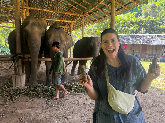 昌泰大象保护区-清迈必去景点