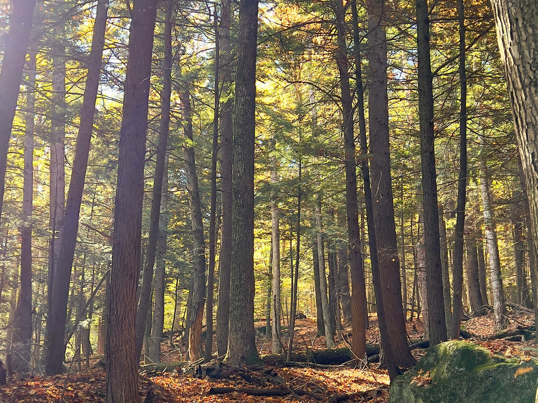 Keene Valley Lodge主图