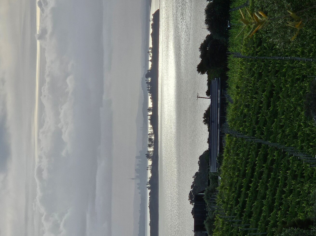 Mudbrick Vineyard景点图片