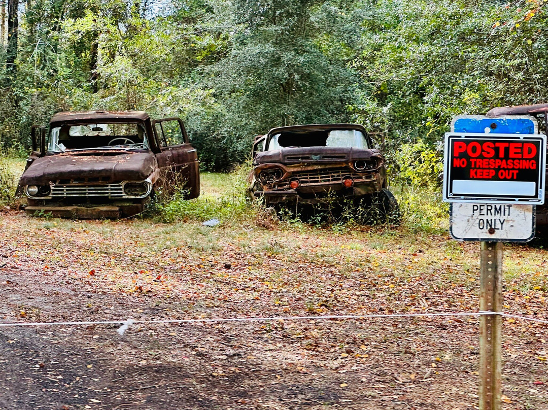 Roadside Rusted Ford Trucks-Crawfordville必去景点