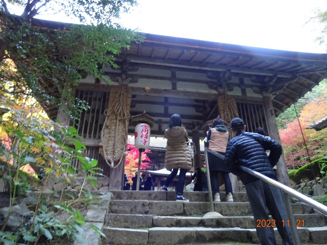 Kongorin-ji Temple-爱庄町必去景点