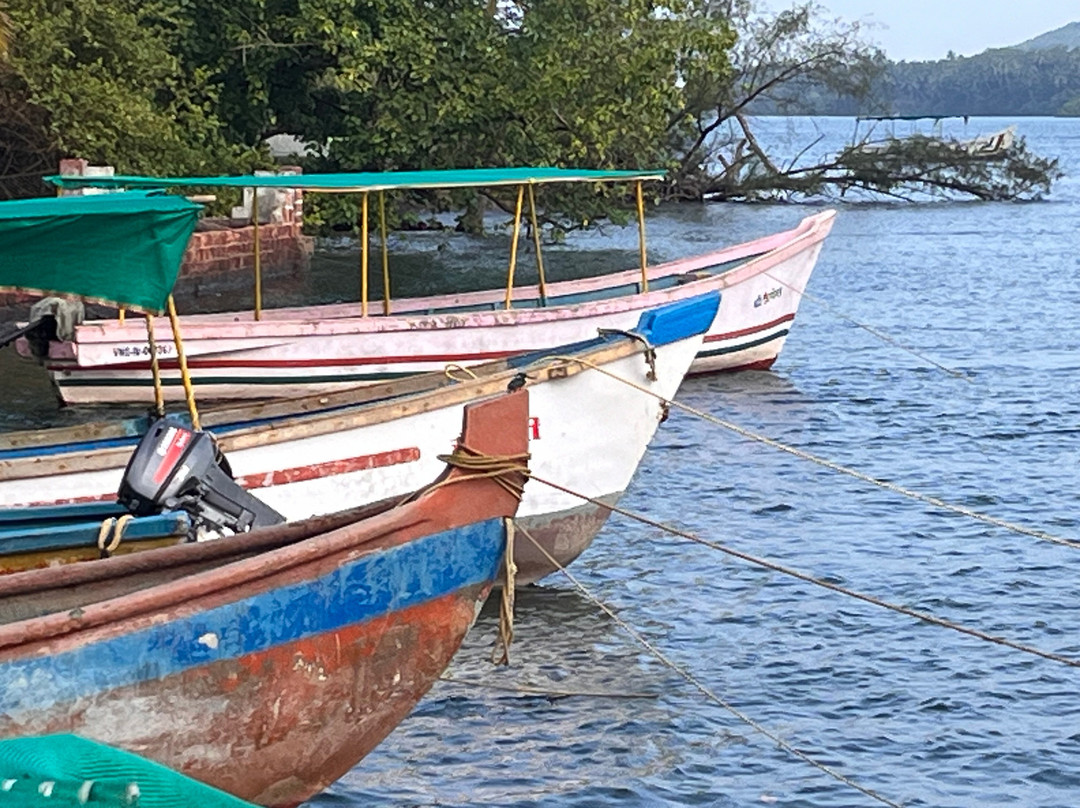 Rivercoast Resort主图