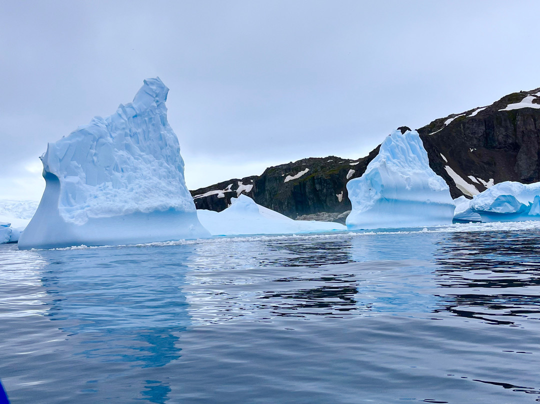 Cierva Cove-Antarctic Peninsula必去景点