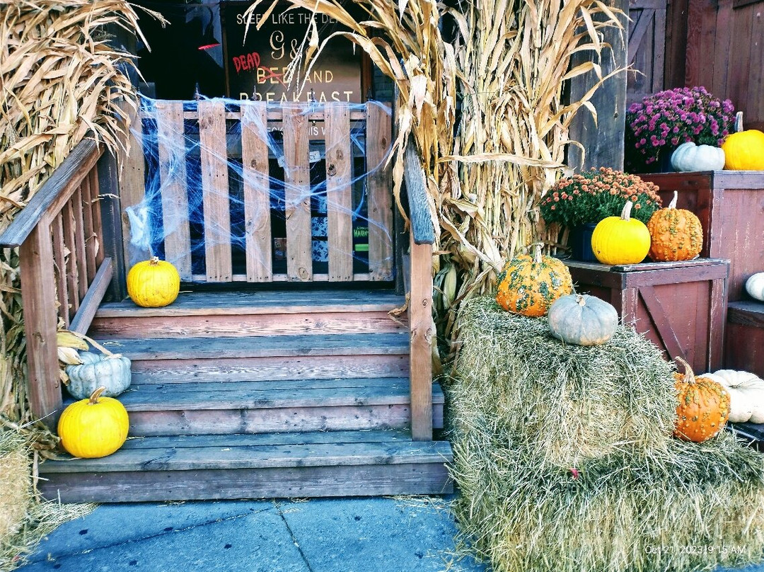 Ripley's Haunted Adventure-盖林柏格必去景点