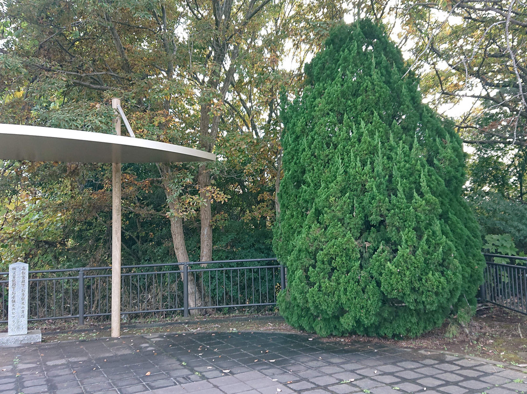 Kioroshimanyo Park-印西市必去景点