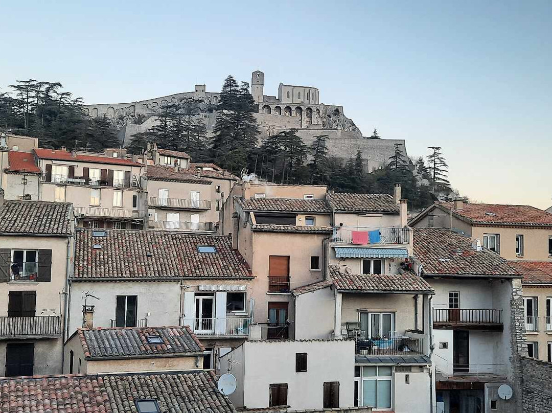 Les Mirabelles主图