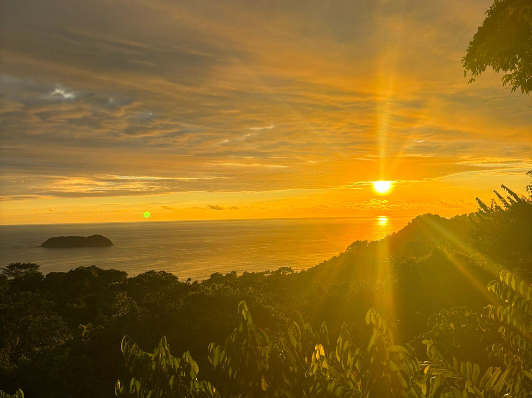 Travel Tropical Tours景点图片