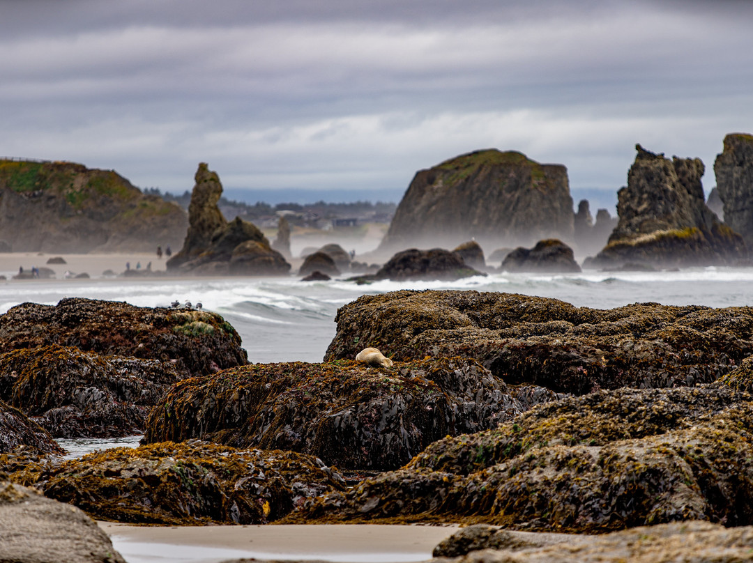 Bandon State Park-班登必去景点