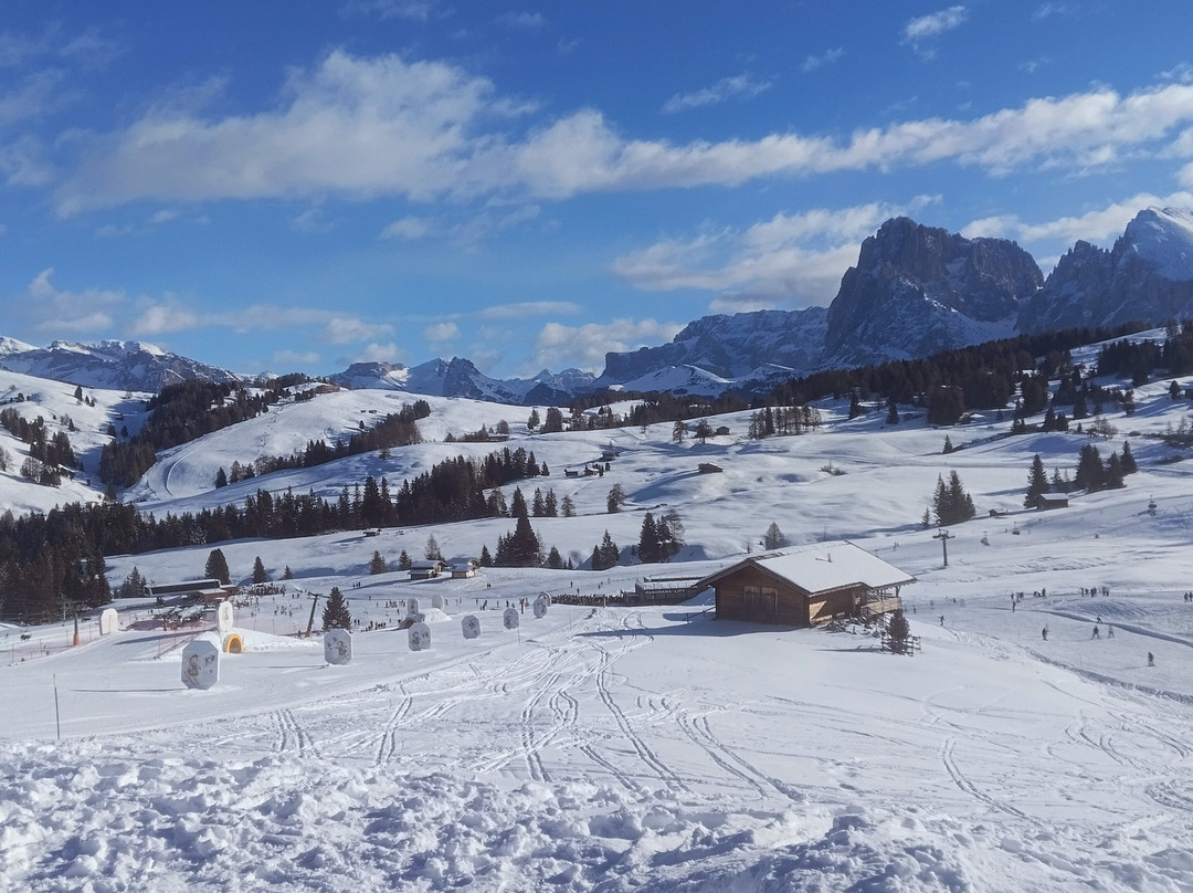 Alpe di Siusi - Seiser Alm Bahn景点图片
