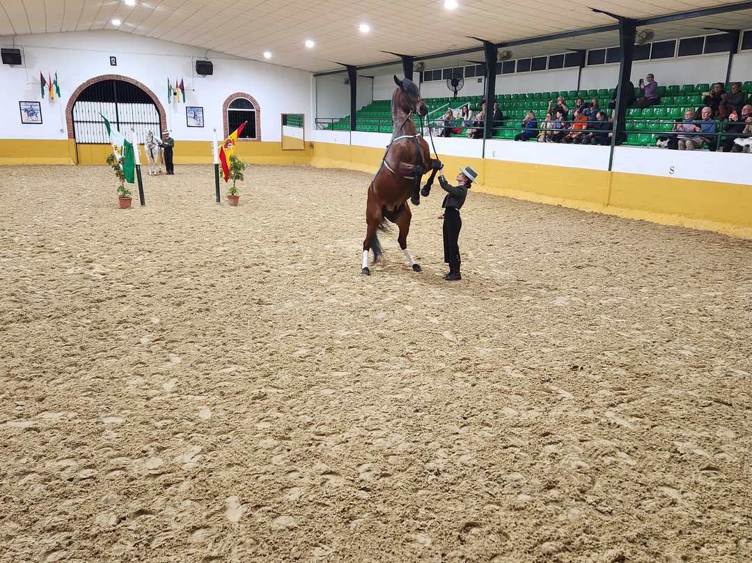 Centro de Equitacion El Ranchito-托雷莫里诺斯必去景点